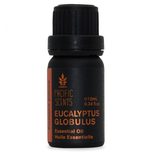 Eucalyptus Globulus 10ml