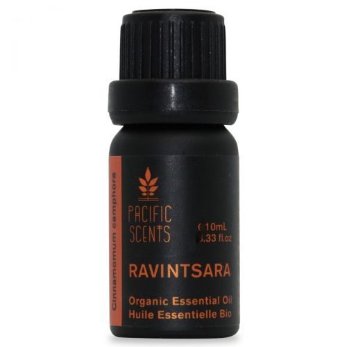 Ravintsara (Organic) 10ml