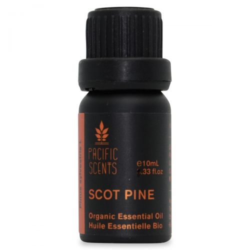 Scot Pine 10ml