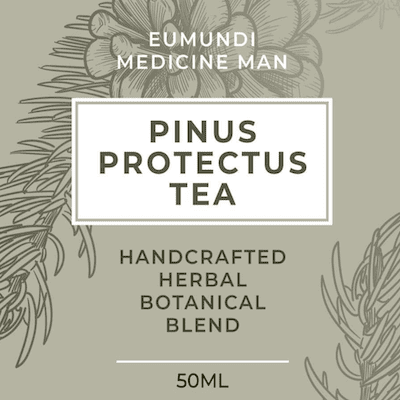 Pine Needle Tea 50ml (Pinus Protectus)